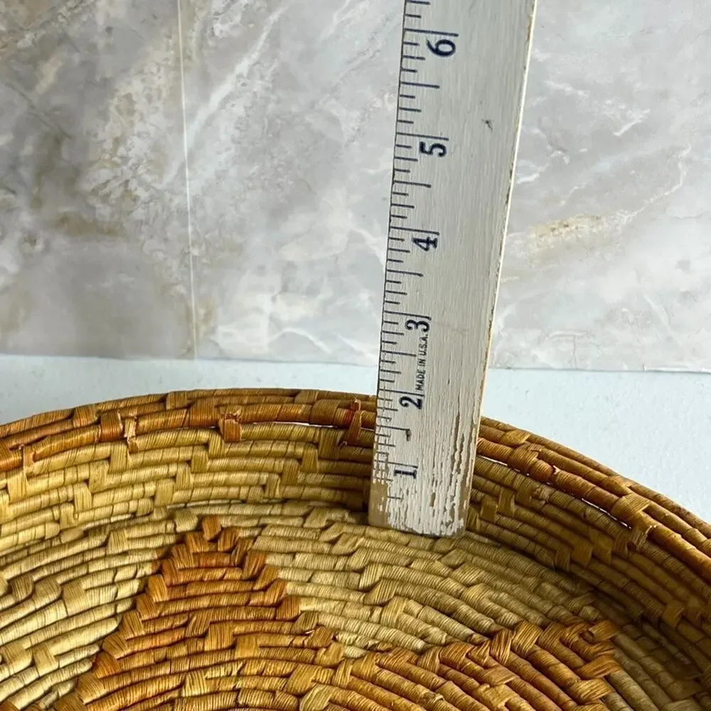 Set of 2 Round Coiled Woven Natural Baskets Double Handles Decor